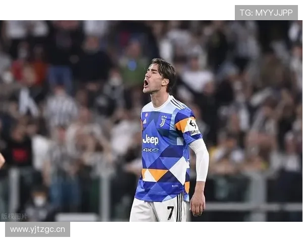 意甲弗拉霍维奇核心